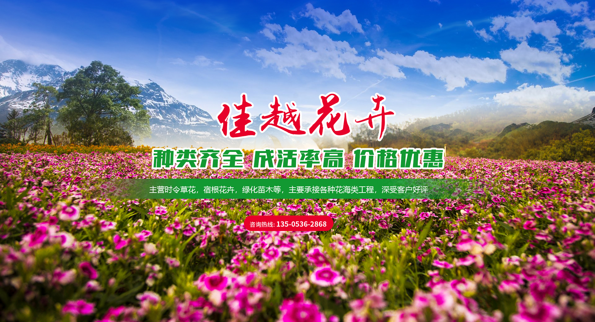 青州市佳越花卉苗木種植專業合作社