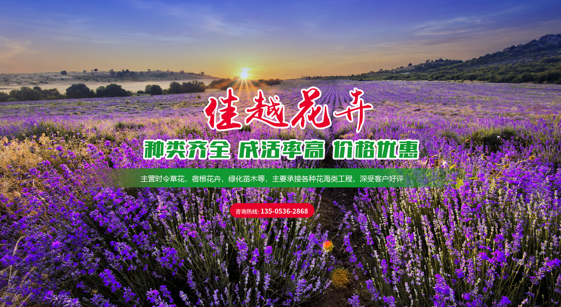 青州市佳越花卉苗木種植專業合作社