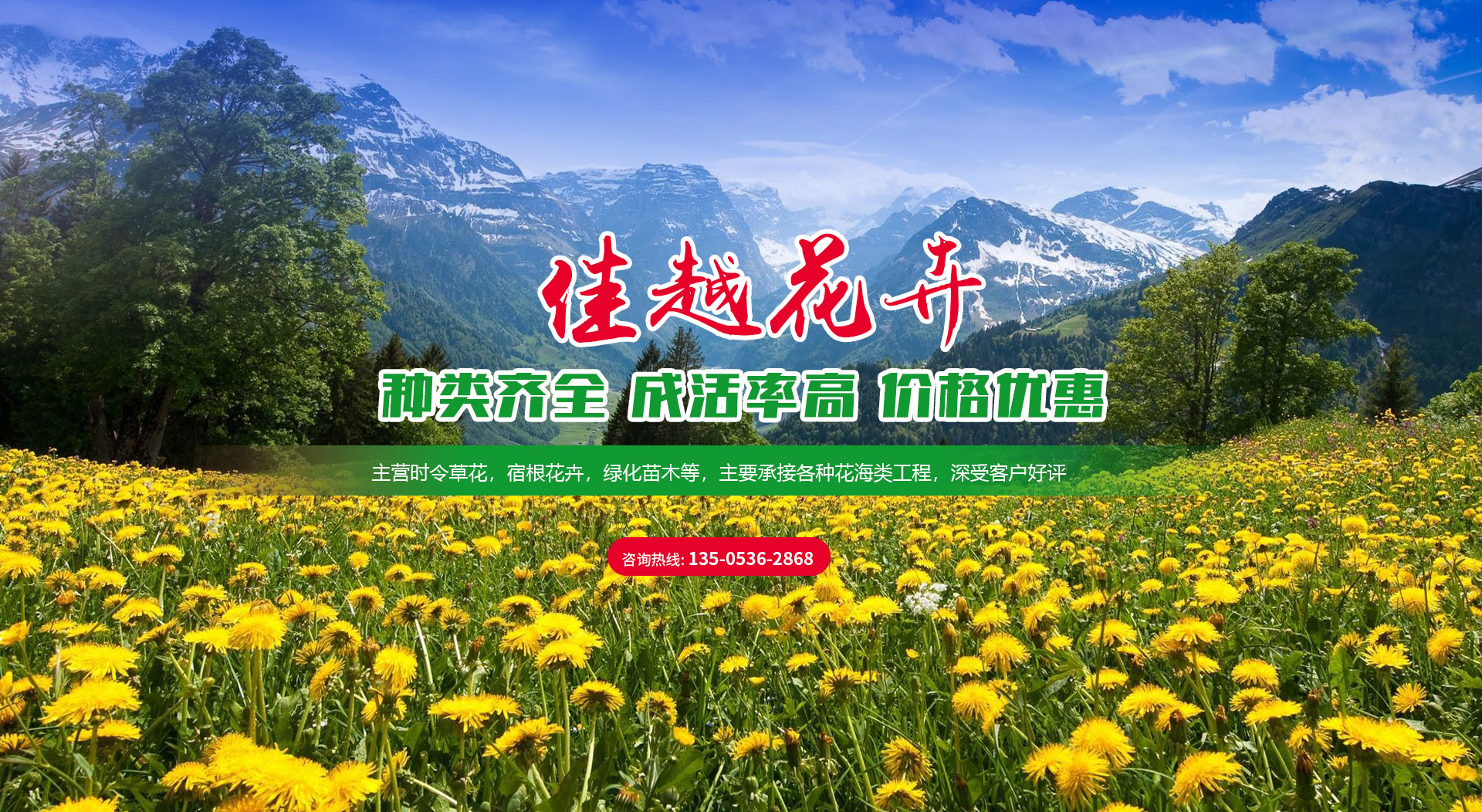青州市佳越花卉苗木種植專業合作社